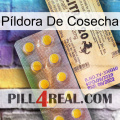 Píldora De Cosecha new06